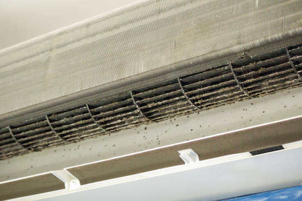 Best Affordable Duct Cleaning Services  in Rock Rapids, IA