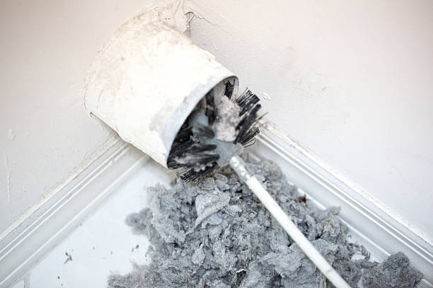 Best Affordable Duct Cleaning Services  in Rock Rapids, IA