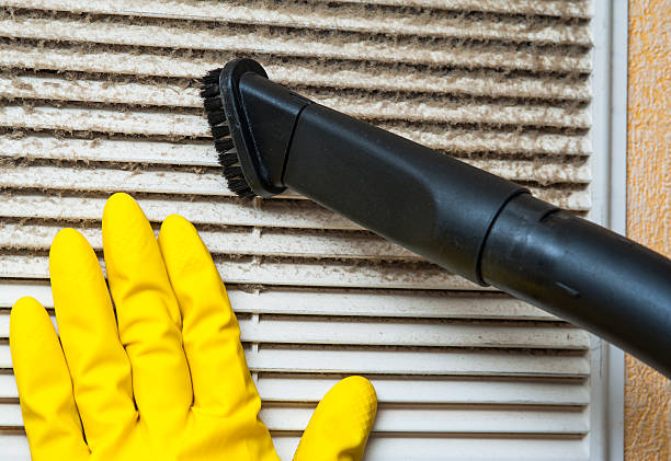 Best Ventilation Cleaning Services  in Rock Rapids, IA